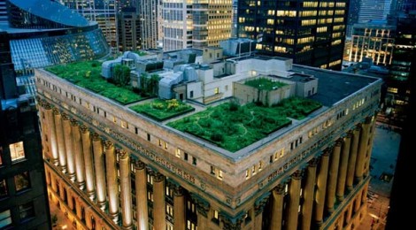 Chicago y sus techos verdes, ahorro e incentivo
