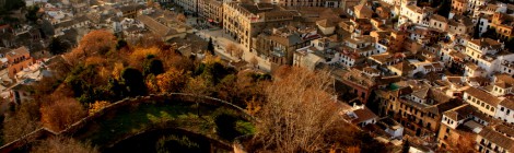 Iniciativa para una normativa de promoción de la cubierta verde en Granada.