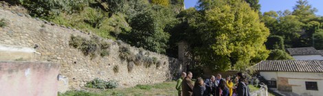 Iniciativa de huerto urbano en Granada de Granada en Transición